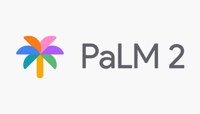 Palm Llm